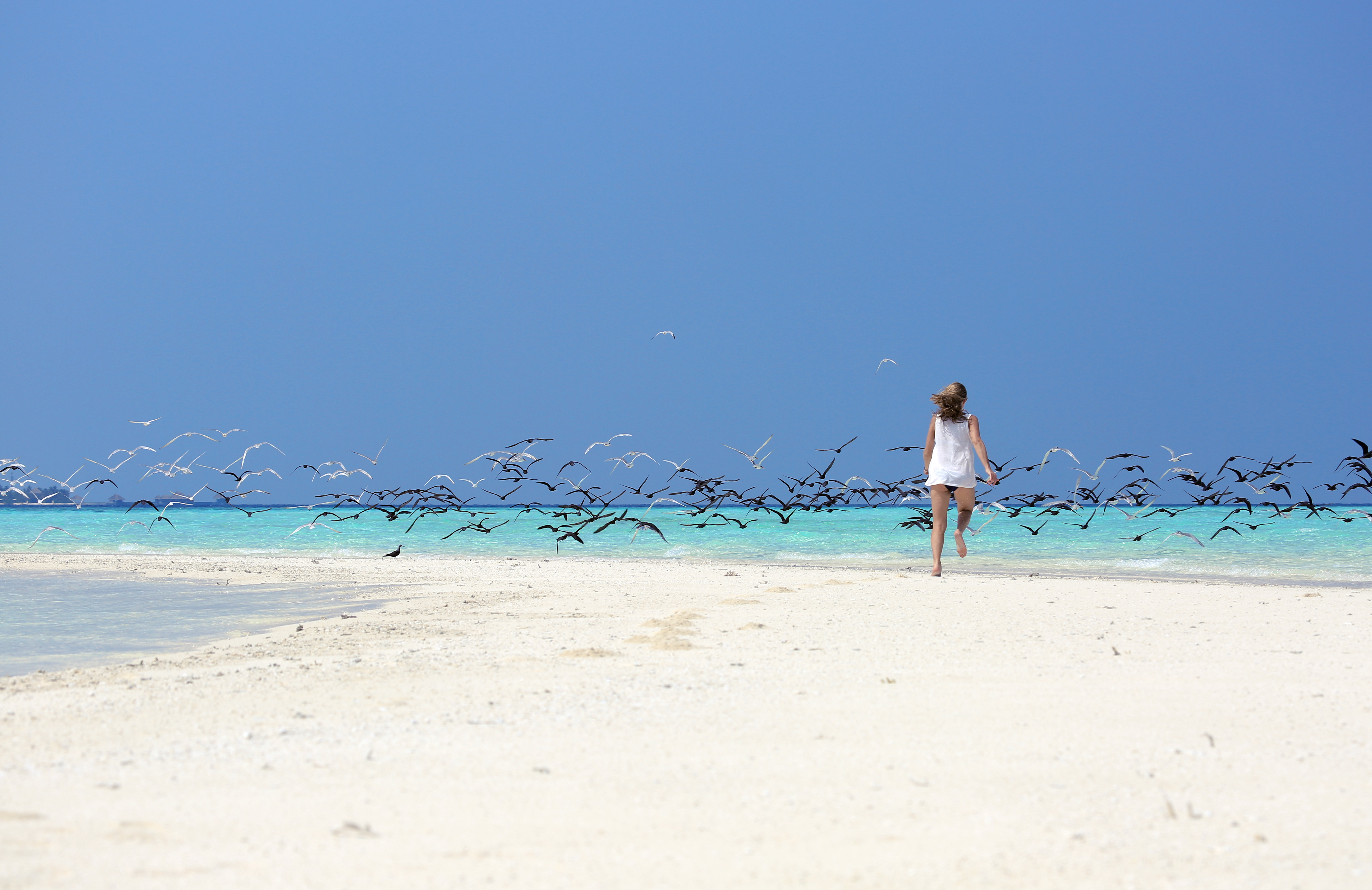 4-Night July/August 2026 Private Yacht Charter